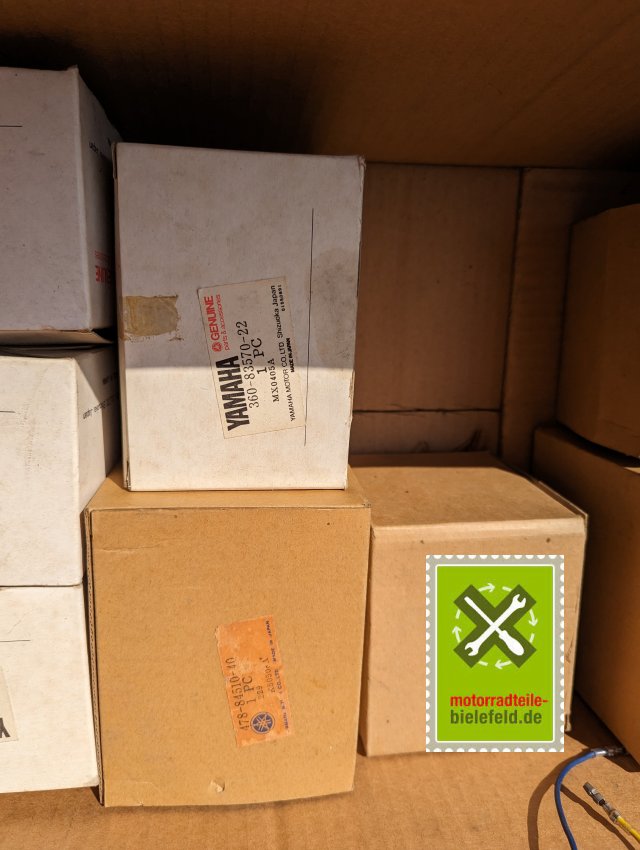 PXL_20240510_135157995